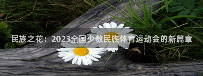 民族之花：2023全国少数民族体育运动会的新篇章
