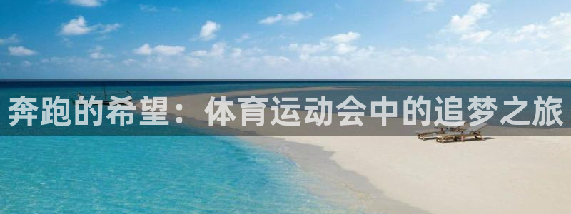 奔跑的希望：体育运动会中的追梦之旅