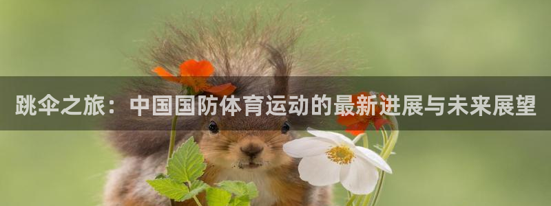 跳伞之旅：中国国防体育运动的最新进展与未来展望