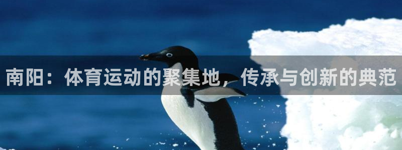 南阳：体育运动的聚集地，传承与创新的典范